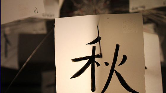 欢迎来到中国通俗文艺研究会规范字专业委员会官网